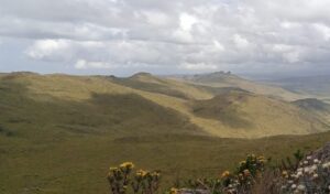 Hiking Mount Satima in the Aberdares Forest