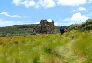Hiking Mount Satima in the Aberdares Forest