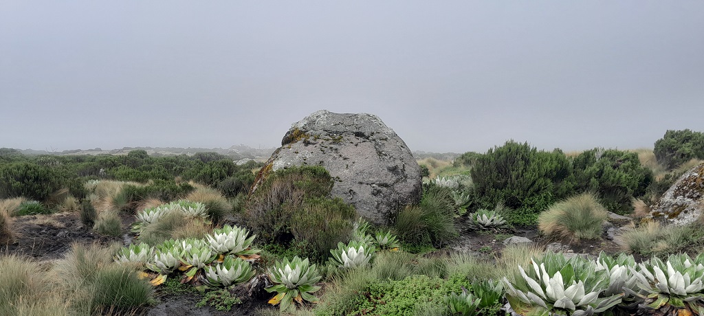 View Point for Mackinders Valley